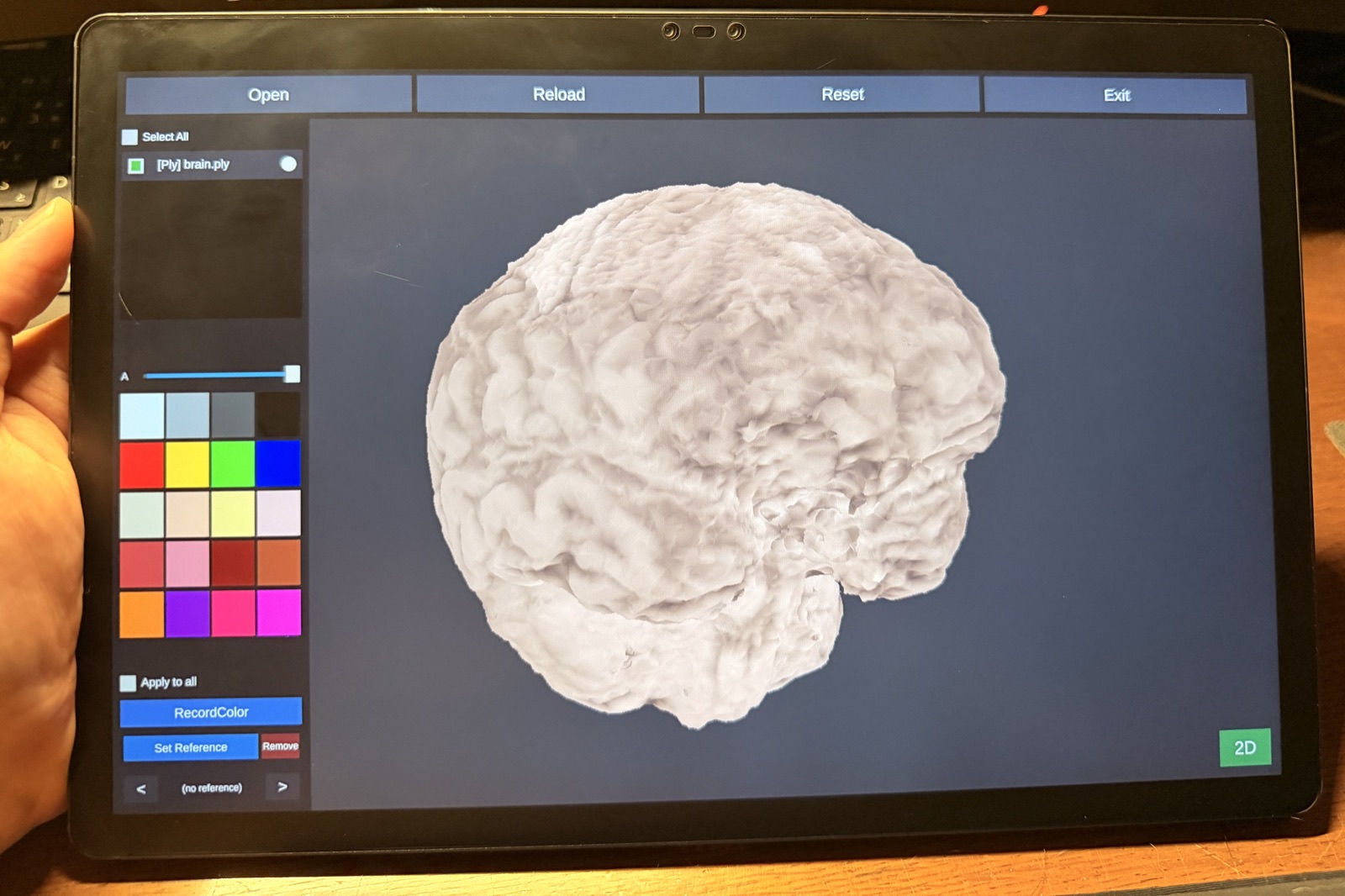 SARTI-3DPad で brain.ply の3Dモデルを表示している様子